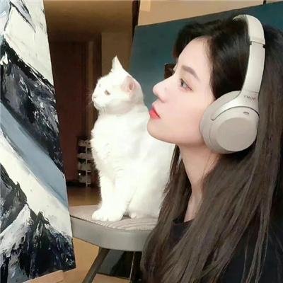 胡说小镇 封面